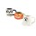 Scaredy Cat 3-D Mug 22 oz. Set of 3